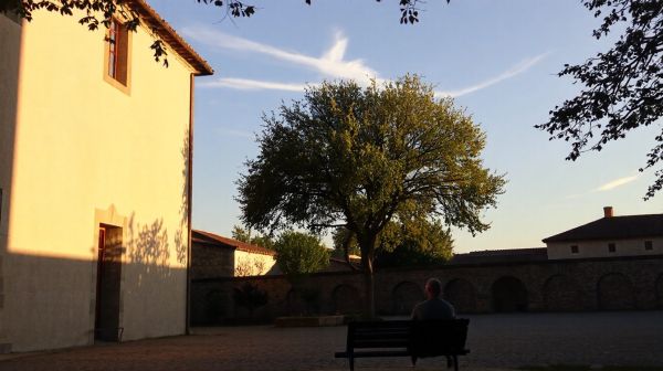 Découvrez 5 avantages d'une séance avec un kinésiologue à La Réole